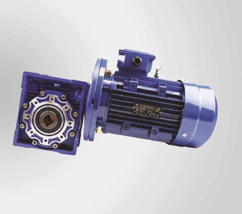 Flange Type Motor with Hollo Type Gear Reducers